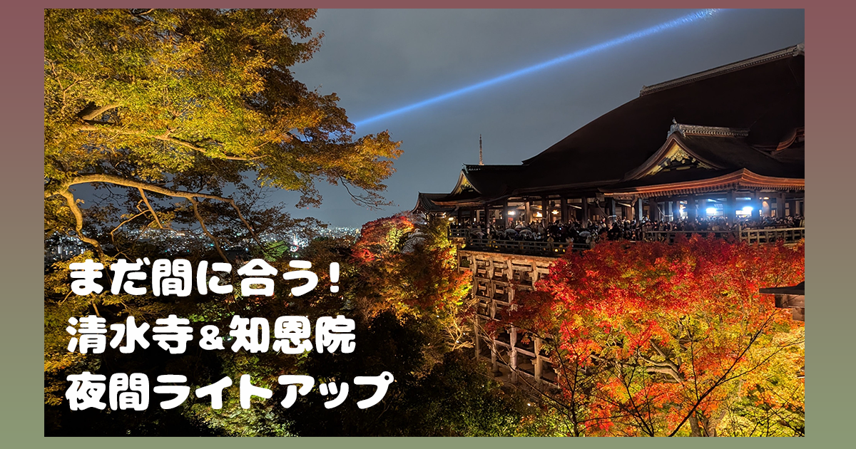 まだ間に合う！清水寺＆知恩院 夜間ライトアップ