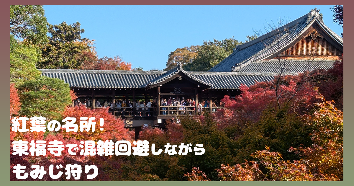 【紅葉の名所】東福寺で混雑回避しながらもみじ狩り